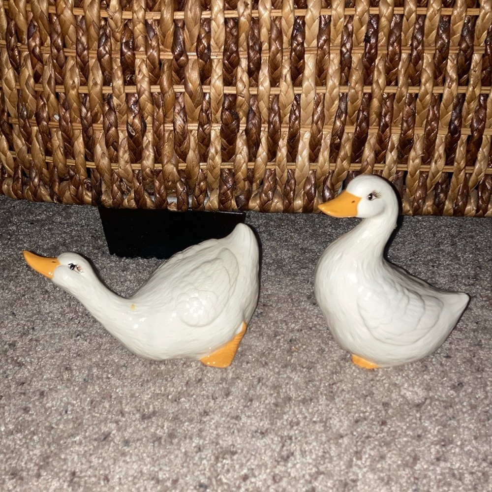 Vintage ducks🦆